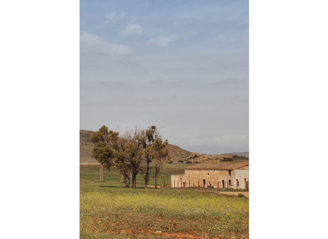 Plan Director Cortijo del Fraile, Níjar