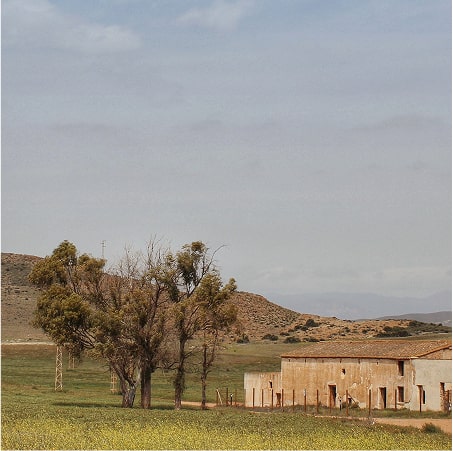 Proyecto Cortijo del Fraile